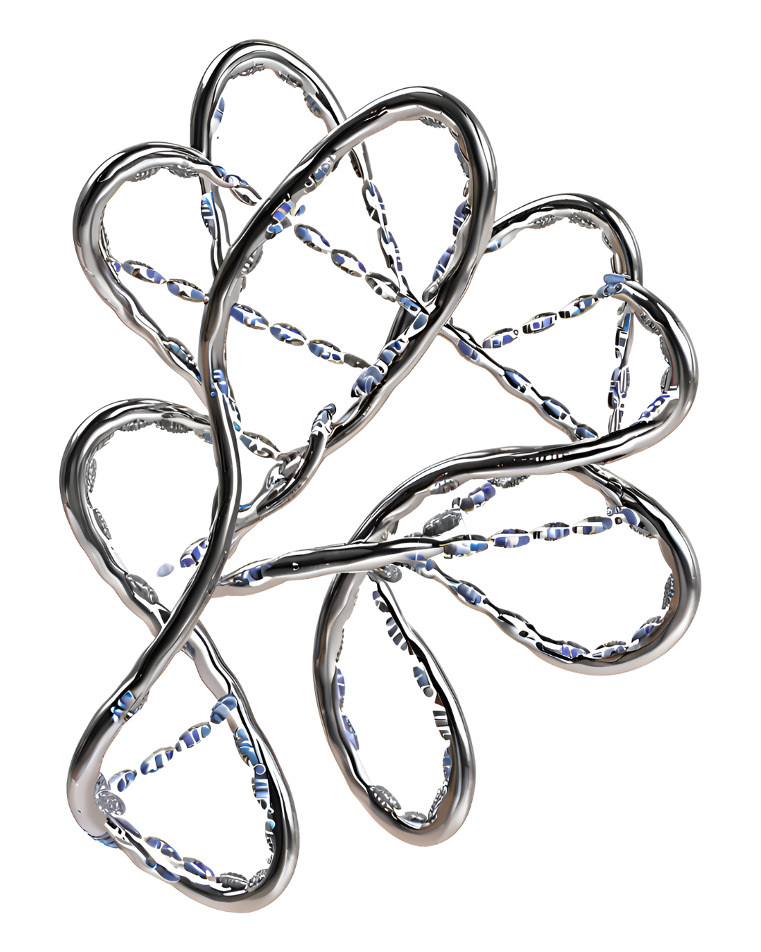 Dna e Rna